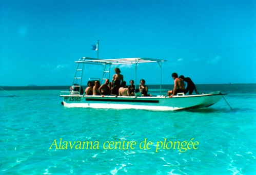 ALAVAMA Offer Alavama - Baptism of diving or snorkeling - Adult