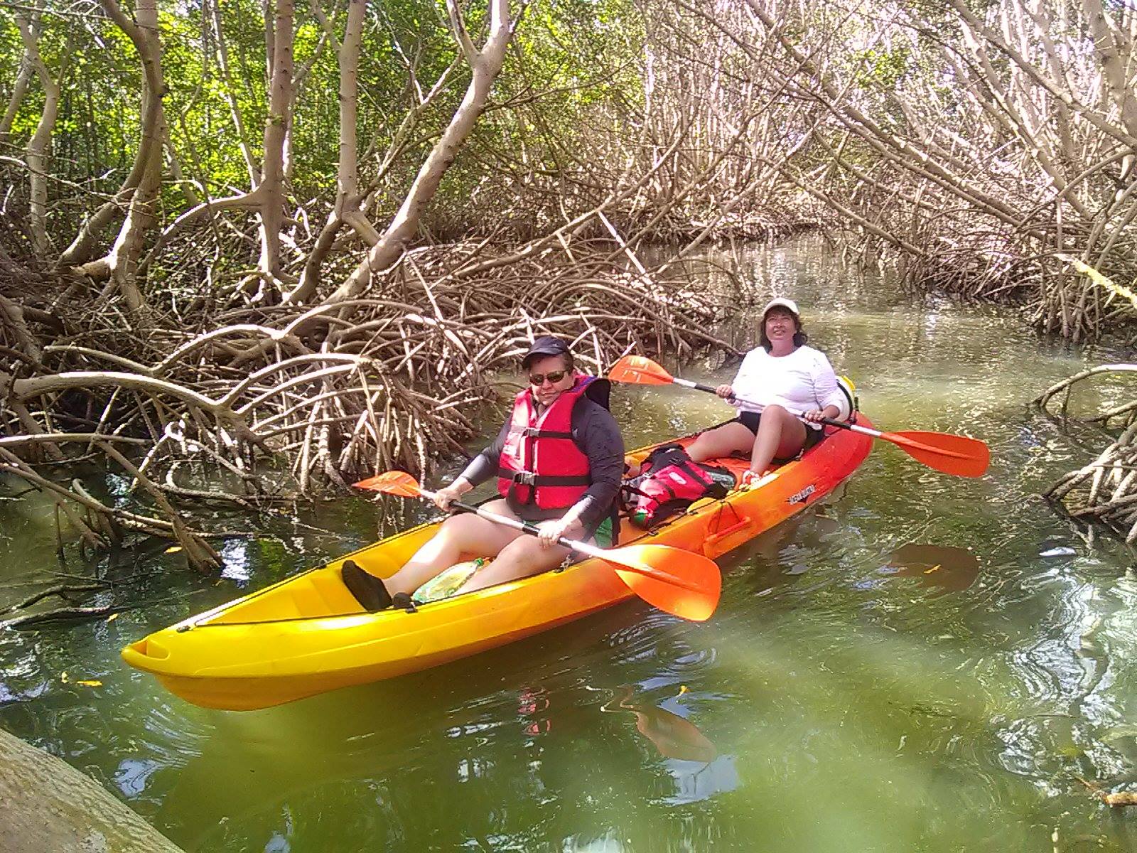 Activité Otantikayak offer Excursion journée Kayak image