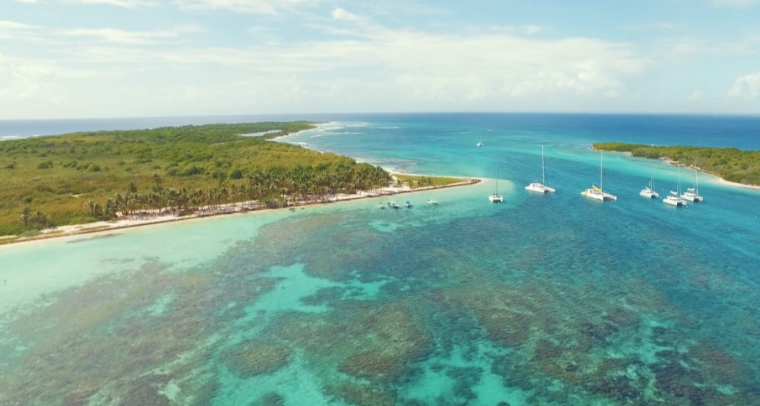 COEUR DES ILES - EXCURSION Offer Île de Petite terre en catamaran à voile